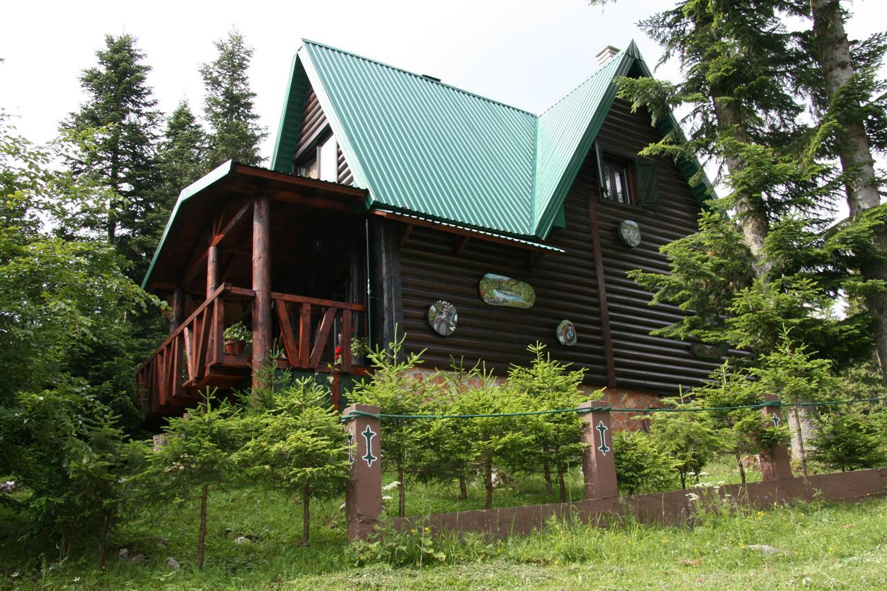 Durmitor Chalet Žabljak Eksteriør billede
