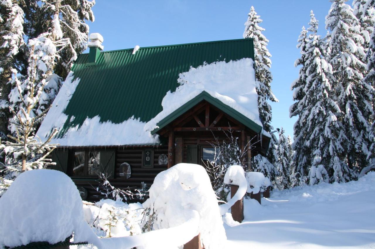 Durmitor Chalet Žabljak Eksteriør billede