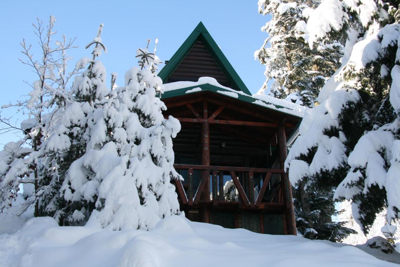 Durmitor Chalet Žabljak Eksteriør billede